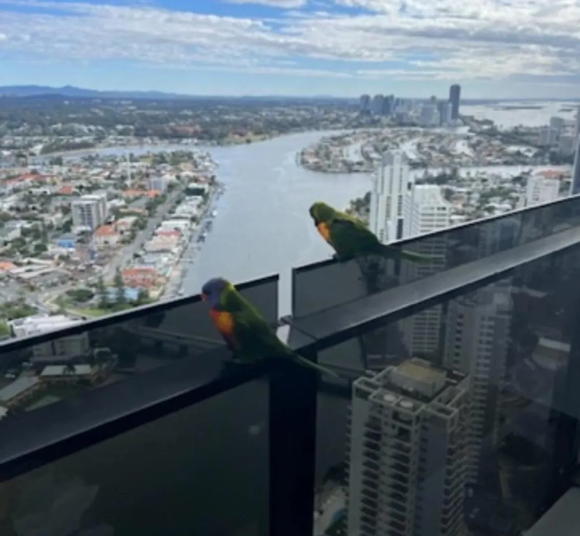 Hotel Circle On Cavil-Mantra-Fabulous View- Free Car Park- Spa-Central Location Gold Coast Australia